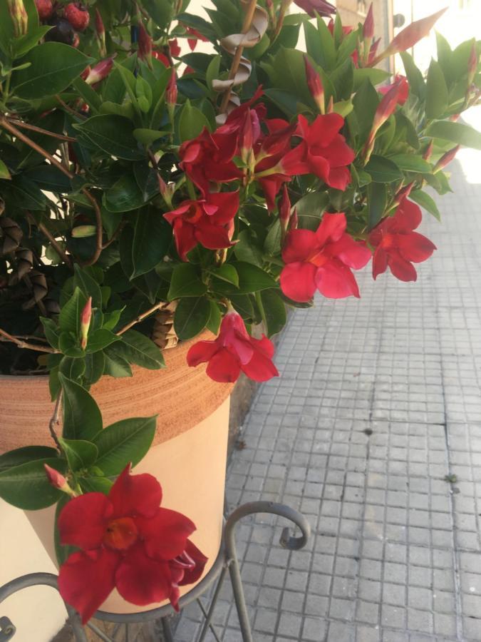 Apartament Carrer Dels Horts Alghero Zewnętrze zdjęcie