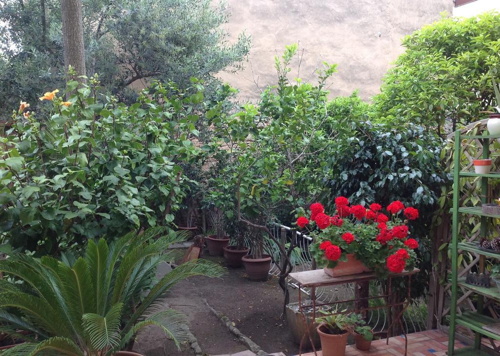 Apartament Carrer Dels Horts Alghero Zewnętrze zdjęcie