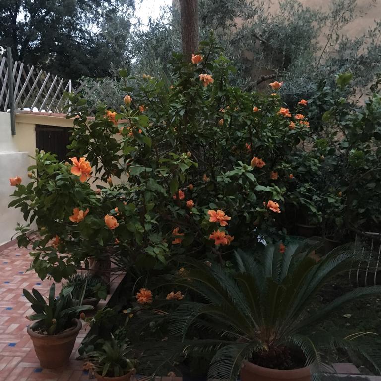 Apartament Carrer Dels Horts Alghero Zewnętrze zdjęcie